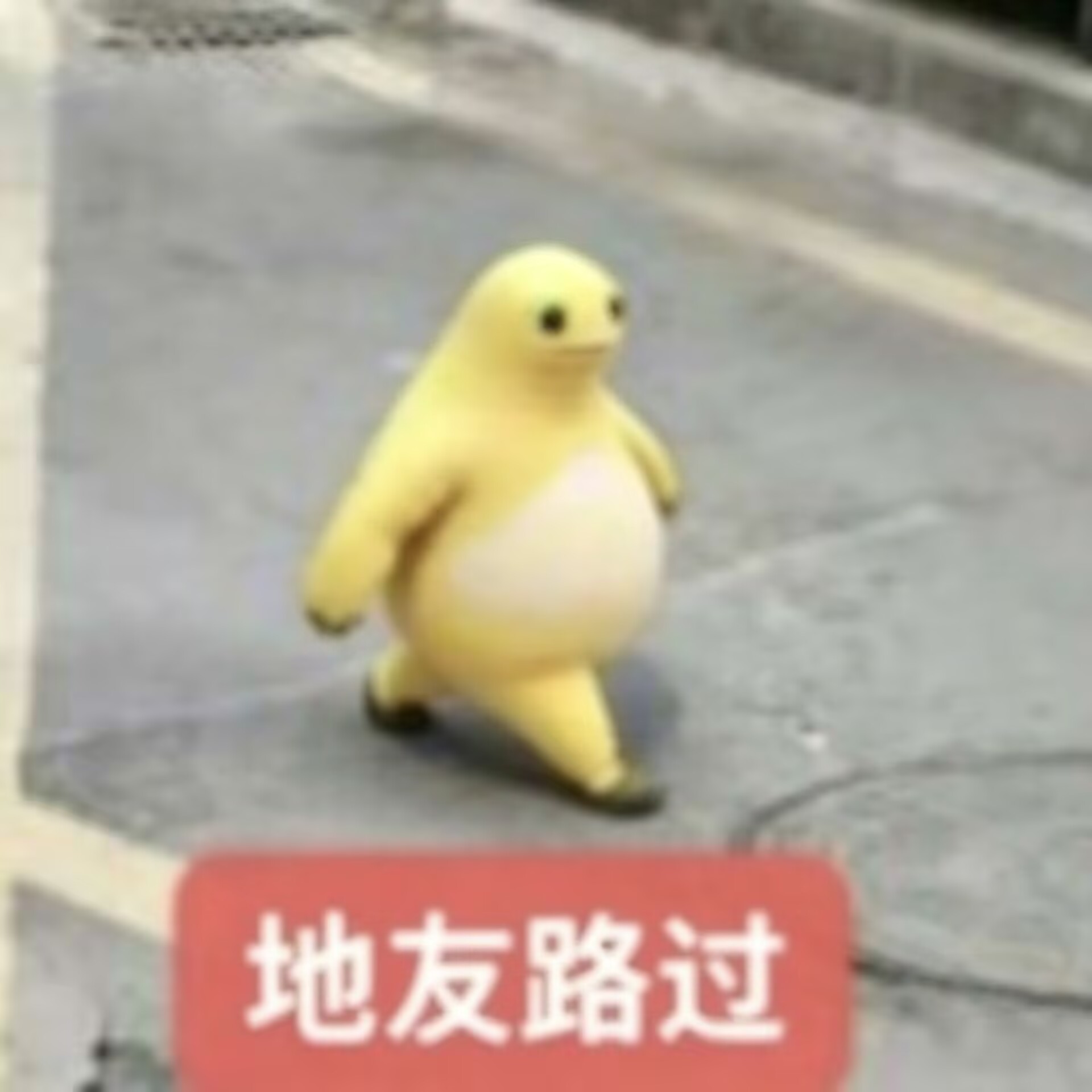 地友路过